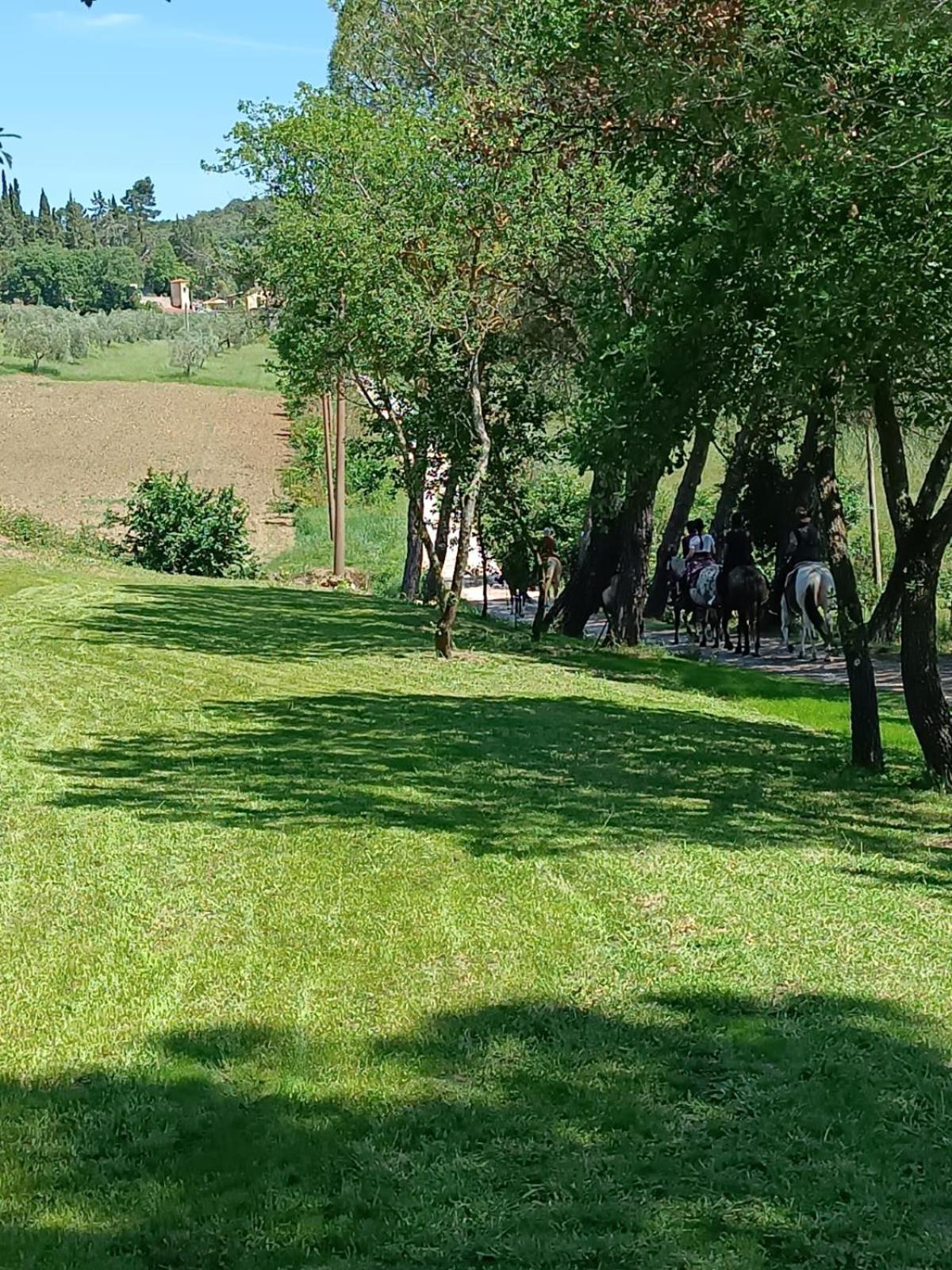 Ferienwohnung La Casa Dei Breton Magione Exterior foto